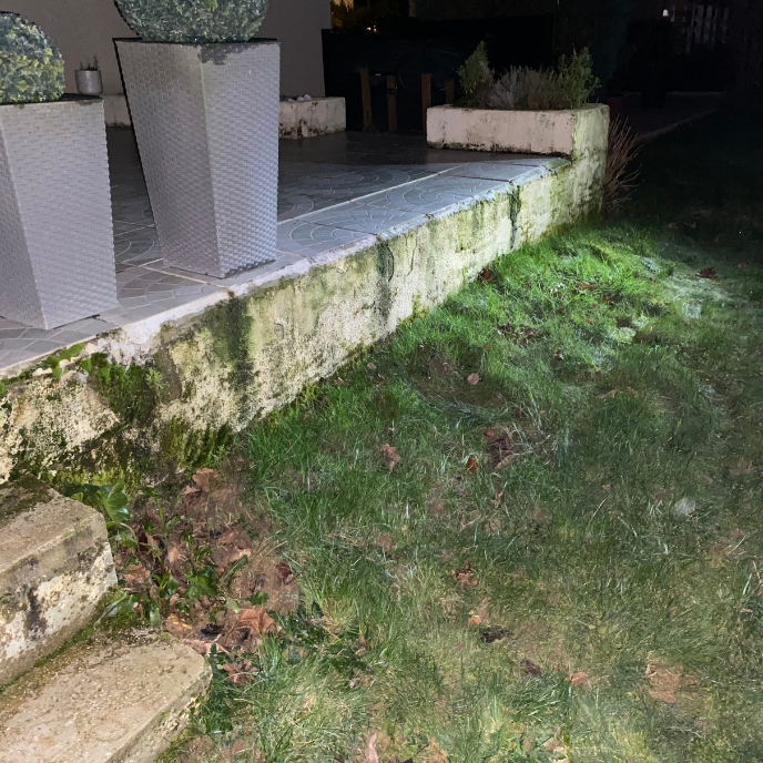 before-image